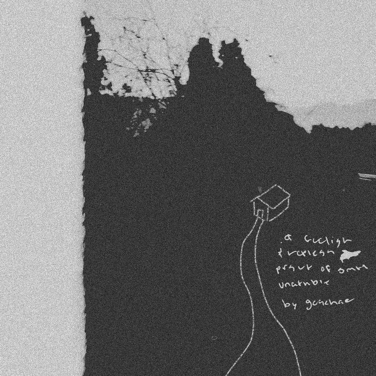 Goosechase  - A Foolish & Hopeless Pursuit of Something Unattainable