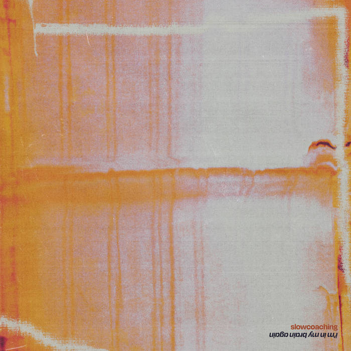 Slowcoaching - I'm In My Brain Again