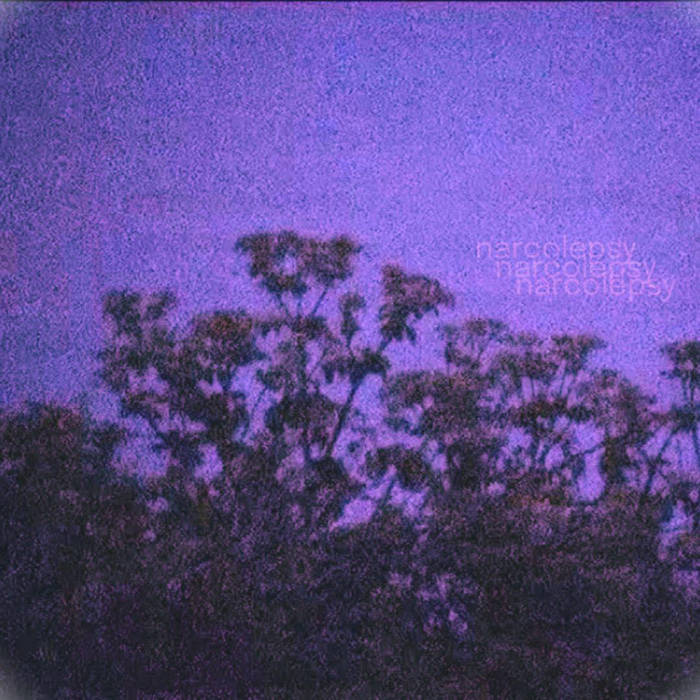 Narcolepsy - Nocturne