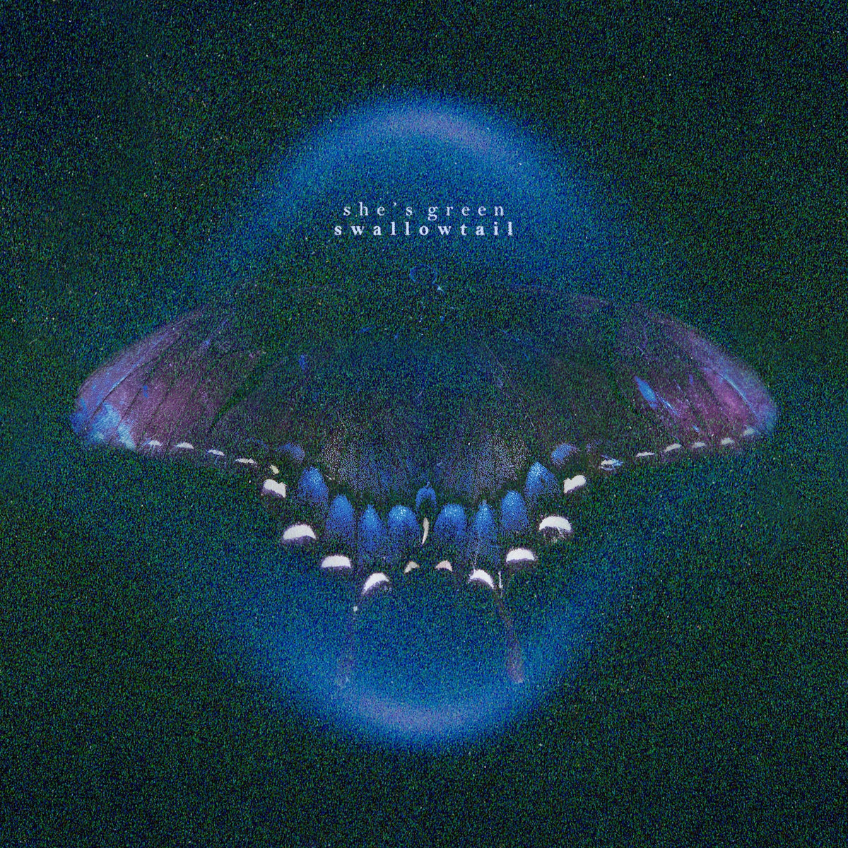 She's green - Swallowtail
