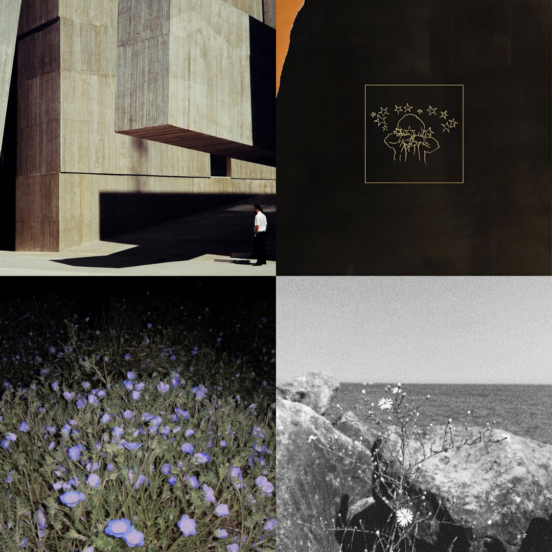 Thusblog selection - Mai 30/2025