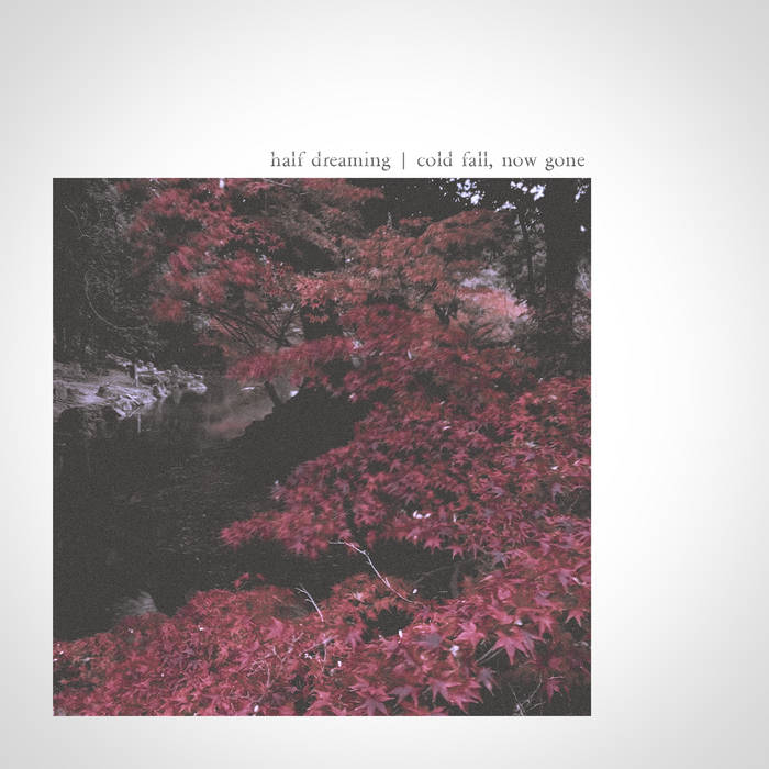 Half Dreaming – Cold Fall, Now Gone
