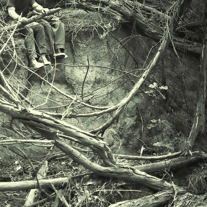 Whither – Wilted