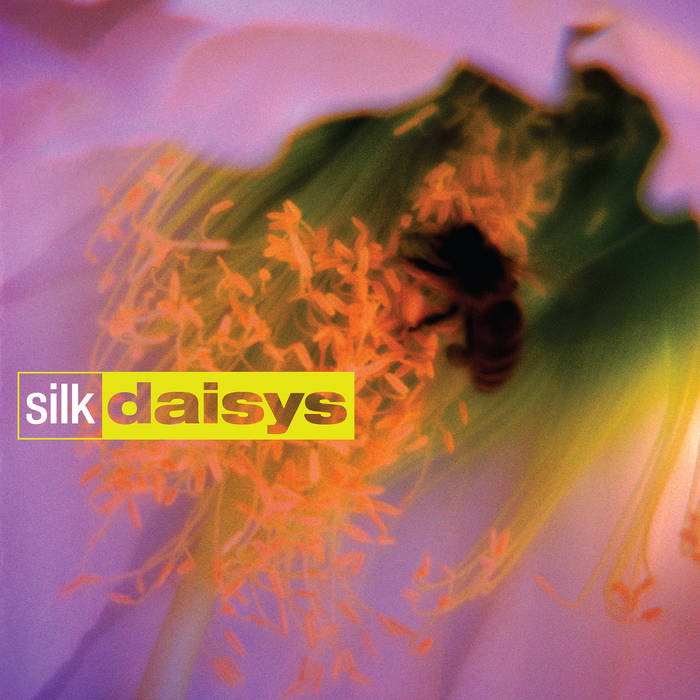 Silk Daisys – Silk Daisys