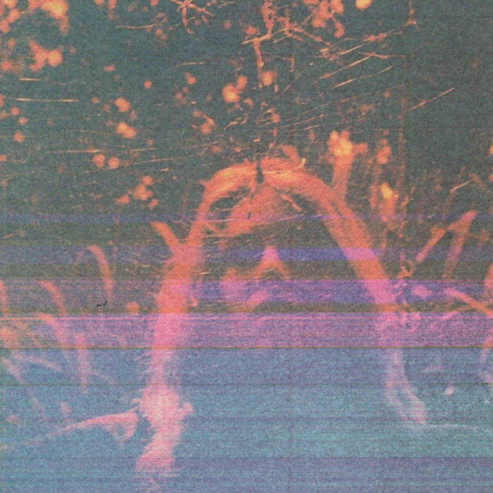 Turnover - Peripheral Vision (10 Year Anniversary Edition)